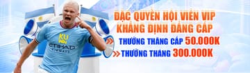 VN888 - Dịch vụ hỗ trợ 24/7